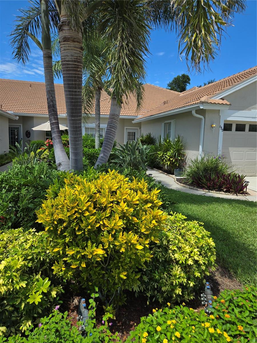 Turnkey Villa in The Links at Pelican Pointe – Updated, Bright & Priced to Sell! More Pictures are coming soon.
This move-in-ready 2-bedroom, 2-bath villa is located in the desirable Links neighborhood of Pelican Pointe—just steps to the neighborhood pool, mailboxes, and a peaceful fairway, well out of range of stray golf balls. Thoughtfully designed to maximize natural light, this villa feels open and bright throughout, with fresh paint and new ceiling lighting to enhance the space. The open-concept living area includes a large TV mounted on a sleek, sound-enhancing backboard—a stylish and functional focal point. Offered fully furnished with all-new furniture, this home is truly turnkey and ready for immediate enjoyment. A charming front courtyard patio overlooks the 14th hole of the Preserve course, while the covered rear lanai offers a peaceful view of the natural Preserve—ideal for relaxing and entertaining outdoors in comfort and privacy. Whether you're hosting guests for an informal BBQ or seeking a quiet space for your personal yoga practice, this villa offers flexibility to fit your lifestyle.
In addition to existing features like the tile roof (2022), A/C and water heater (2023), and stainless steel kitchen appliances, the sellers have made thoughtful upgrades including brand-new furnishings and decor throughout, a premium LG ThinQ washer and dryer, and the installation of a leaf gutter protection system for low-maintenance living.
Pelican Pointe offers resort-style amenities including a clubhouse, heated pool, tennis, pickleball, on-site restaurant/bar, and year-round social events. Optional membership to the private 27-hole championship golf course is available. Just minutes to Gulf beaches, shopping, dining, and historic downtown Venice.
