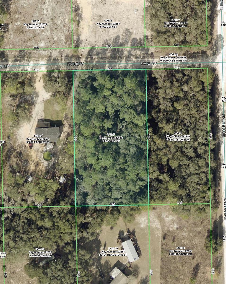 Photo of 33104 Faculty Street, Webster, FL 33597 (MLS # G5115900)