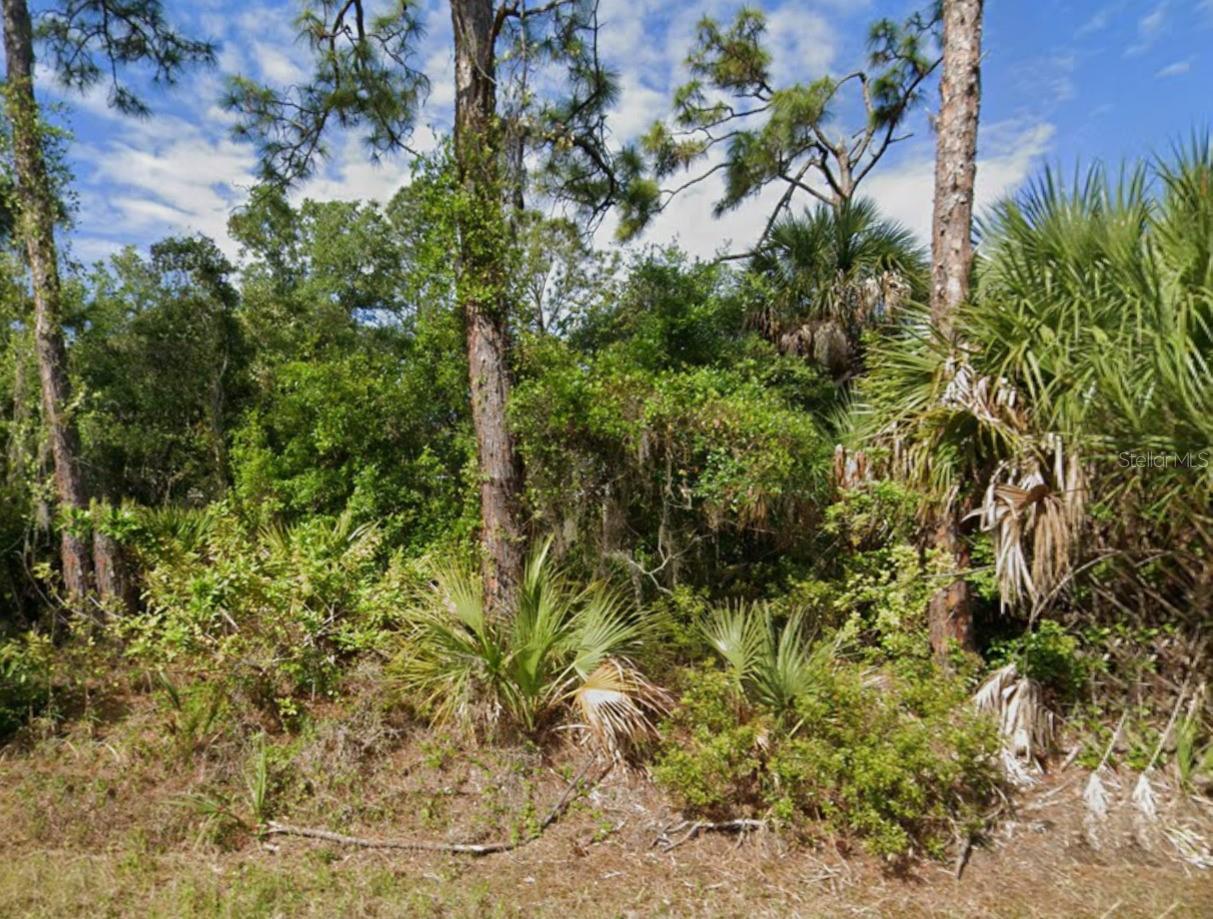 1375 HAMMACHER LANE, PORT CHARLOTTE, FL, 33953 1 1375 HAMMACHER LANE