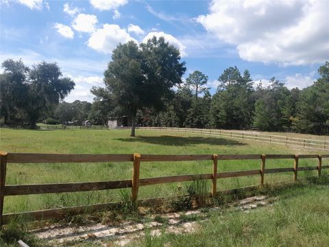 Tiny photo for 3731 SE 117th Terrace, Morriston, FL 32668 (MLS # OM709464)