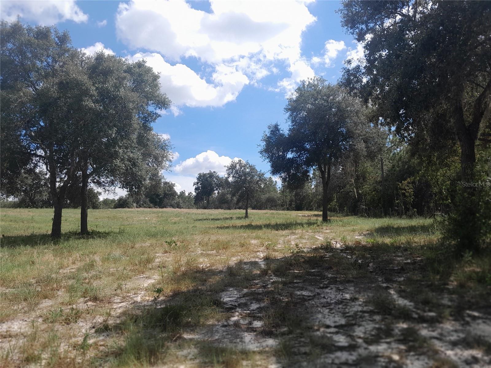 WOODLAND ACRES SUB - Residential