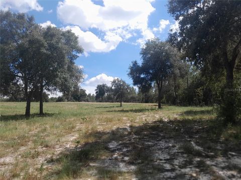 Tiny photo for 3731 SE 117th Terrace, Morriston, FL 32668 (MLS # OM709464)