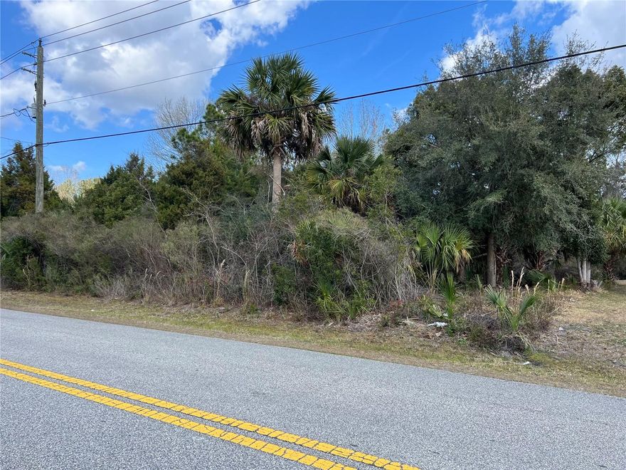 Prime vacant residential lot at 164 Bird of Paradise Drive in Palm Coast’s desirable Indian Trails/Belle Terre area. This elevated and dry parcel is a fantastic canvas for your future home and offers a great cash purchase opportunity with a quick closing available. The property is conveniently located approximately 1.1 miles to Belle Terre Elementary School, about 1.2 miles to Indian Trails Middle School, and roughly 0.9 miles to Matanzas High School. Easy access to Interstate 95 makes commuting simple, and the Indian Trails Sports Complex is just a short drive away for youth sports and recreation. Owner is also selling 68 Birchwood Drive, offering buyers multiple opportunities in the same community.