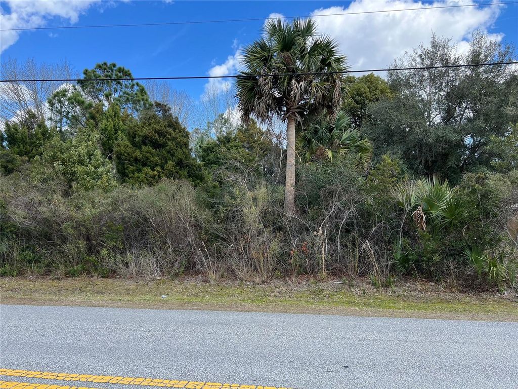 Photo of 164 Bird Of Paradise Drive, Palm Coast, FL 32137 (MLS # FC316390)