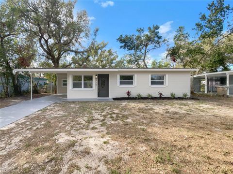 A home in MOUNT DORA