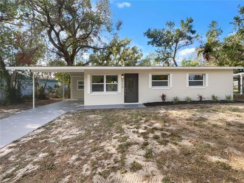 A home in MOUNT DORA