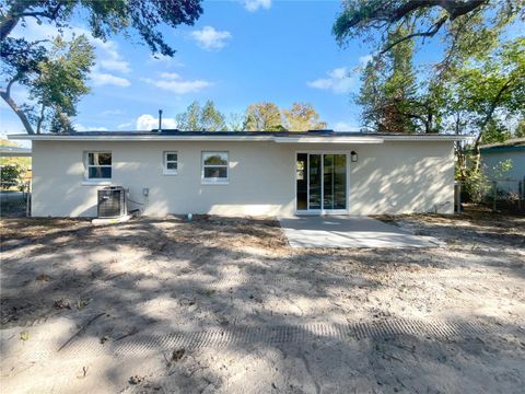 A home in MOUNT DORA