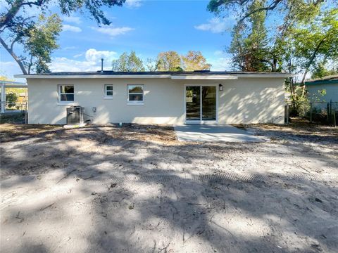 A home in MOUNT DORA