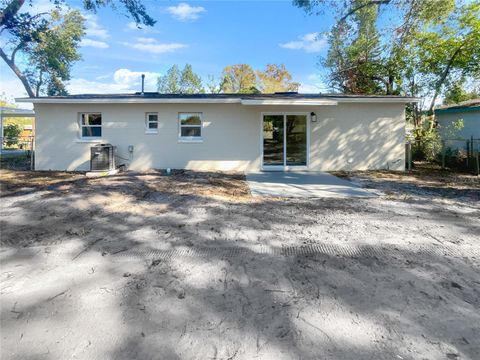 A home in MOUNT DORA