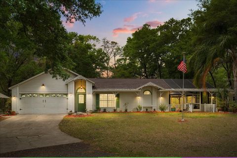 800 SAND CRANE LANE LAKE HELEN FL 32744