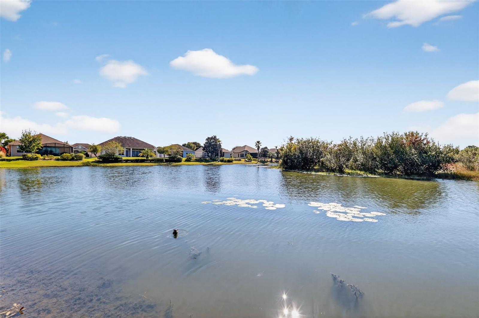 LAKES/MOUNT DORA PH 2 - Residential