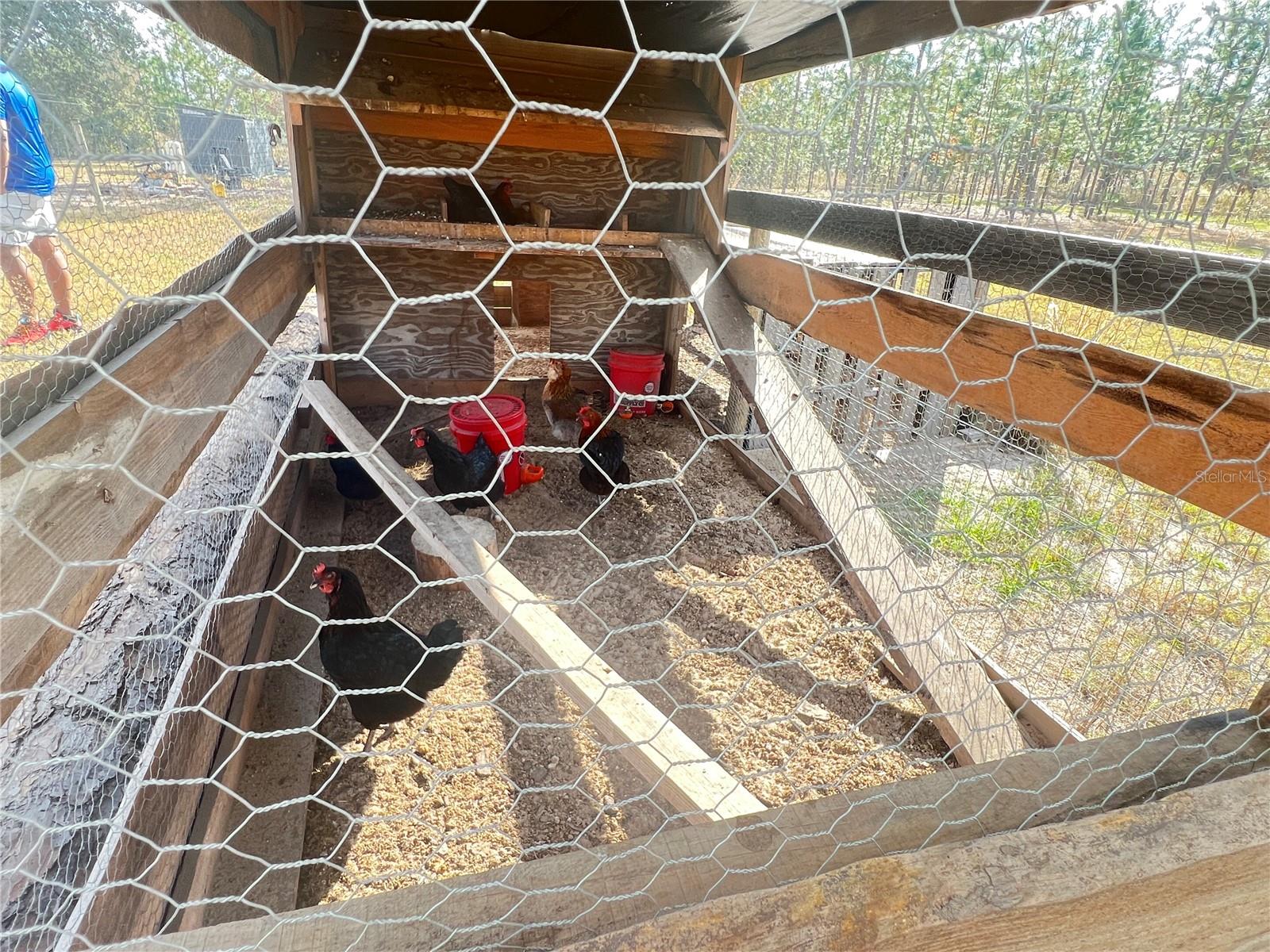 RAINBOW LAKES ESTATE - Residential