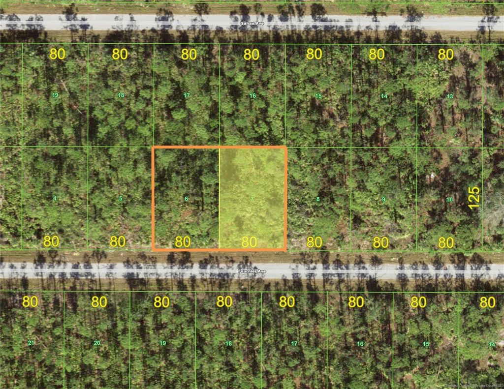 Photo of 12072 Fournier Avenue, Port Charlotte, FL 33953 (MLS # N6133927)