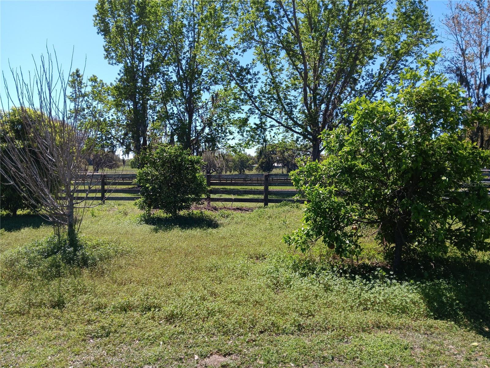 OCALA SOLAR FARMS UNRECORDED SUBDIVISION - Residential