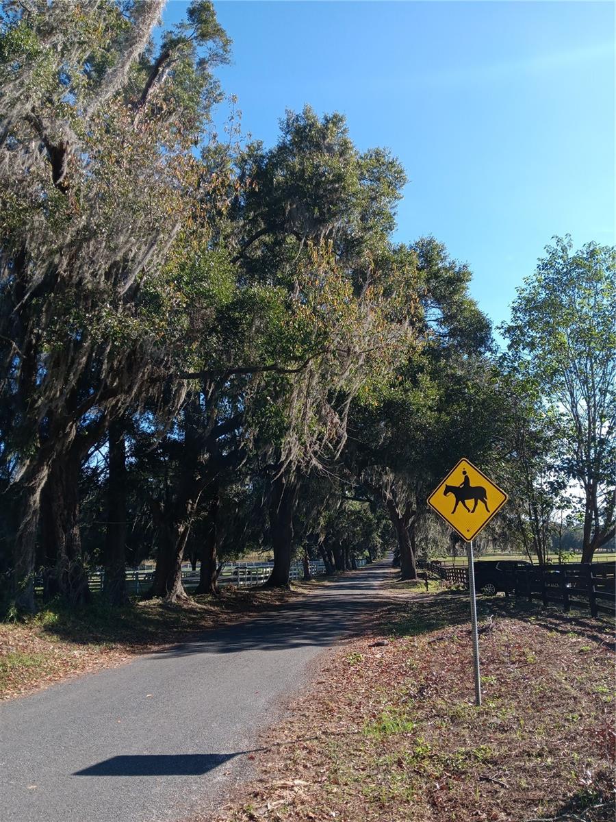 OCALA SOLAR FARMS UNRECORDED SUBDIVISION - Residential