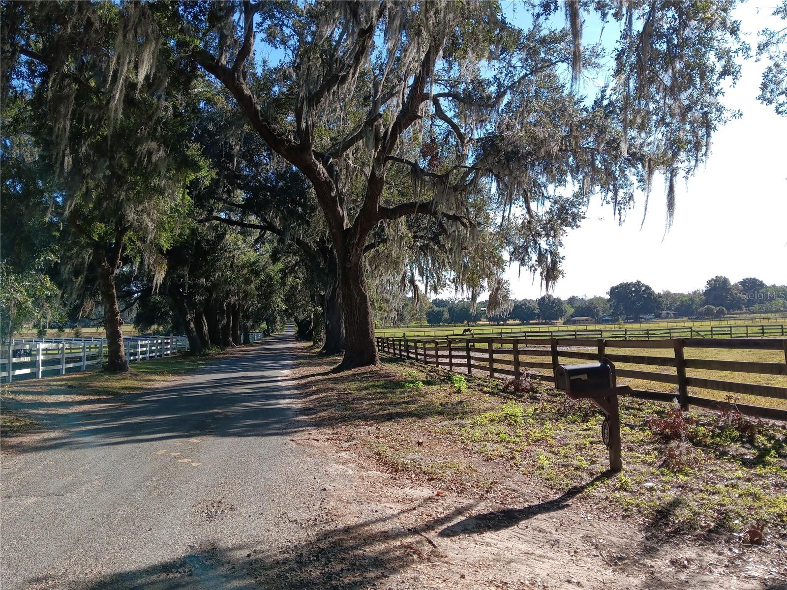 OCALA SOLAR FARMS UNRECORDED SUBDIVISION - Residential