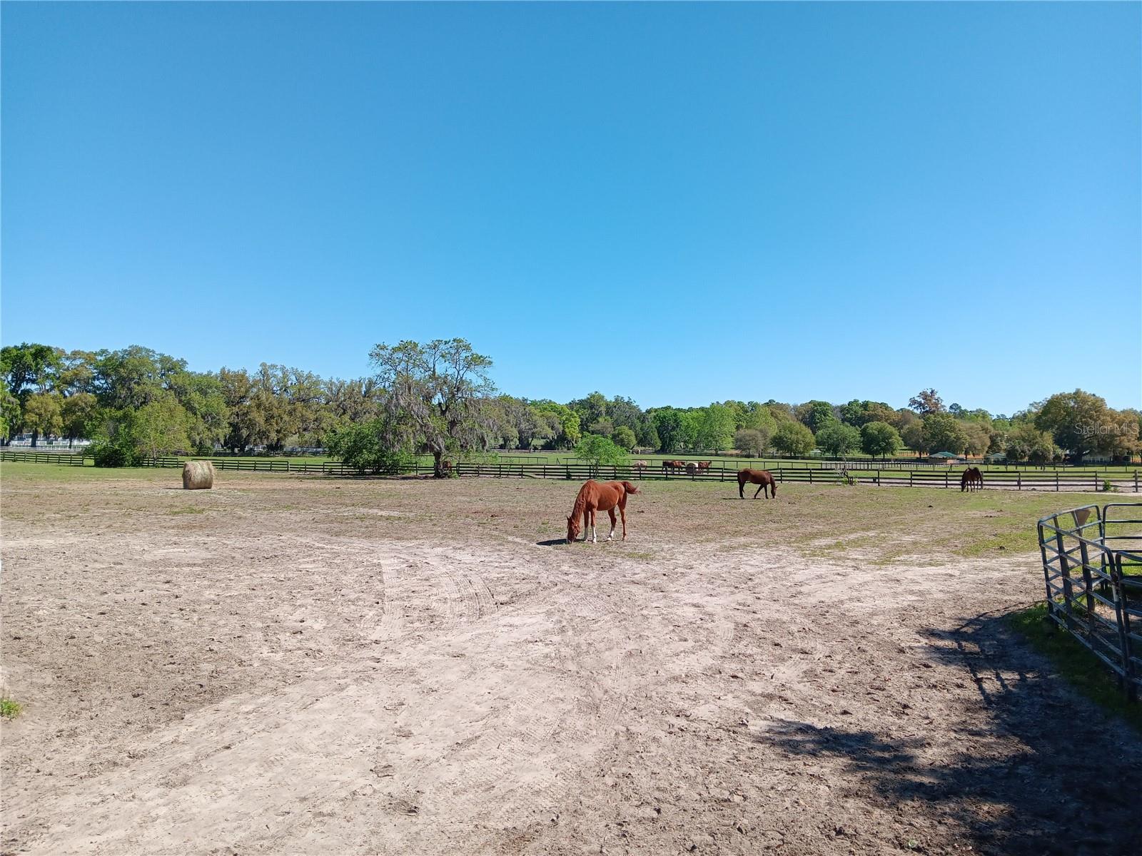 OCALA SOLAR FARMS UNRECORDED SUBDIVISION - Residential