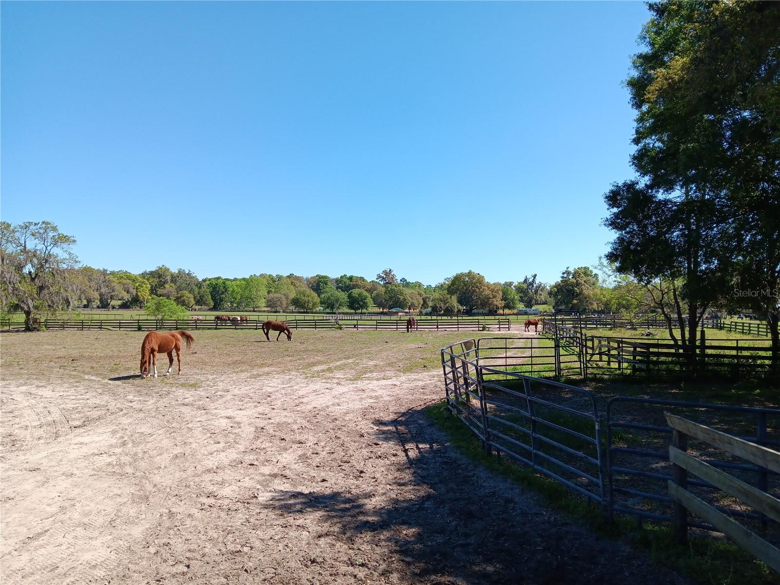 OCALA SOLAR FARMS UNRECORDED SUBDIVISION - Residential