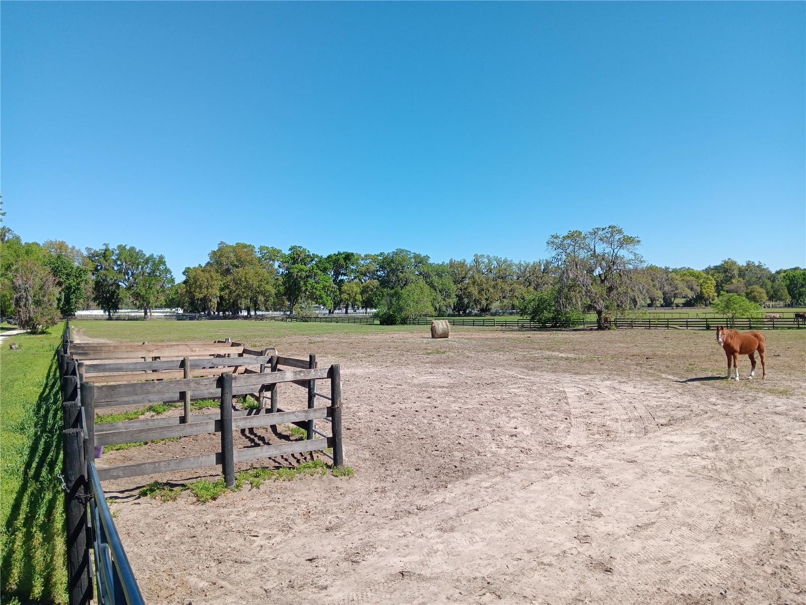 OCALA SOLAR FARMS UNRECORDED SUBDIVISION - Residential
