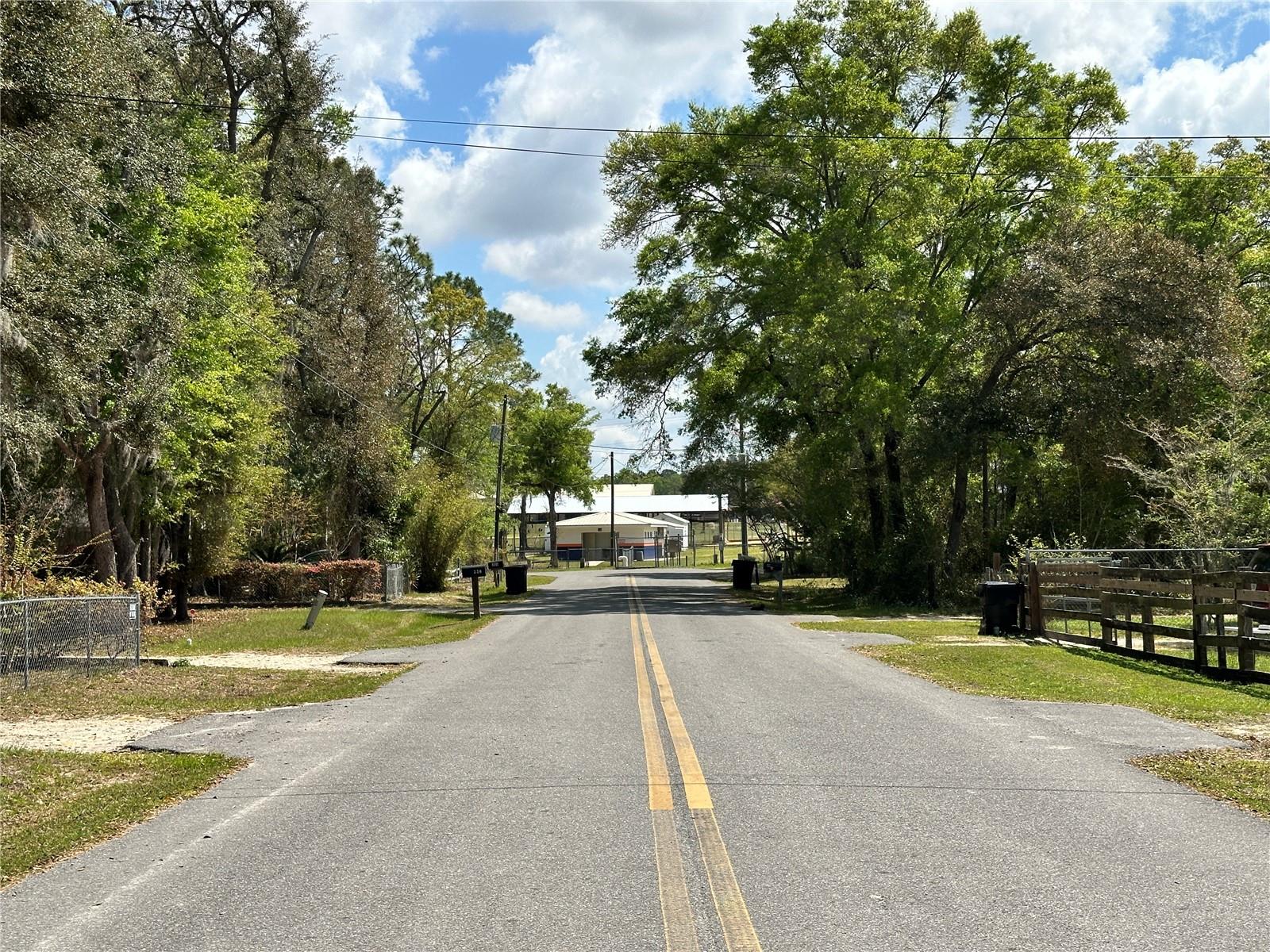 MEADOWS/BEAUTIFUL BRONSON - Land