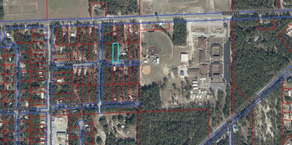 MEADOWS/BEAUTIFUL BRONSON - Land