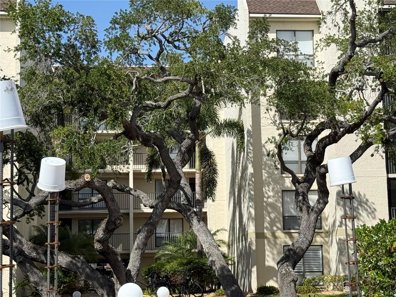 BAY OAKS - Residential