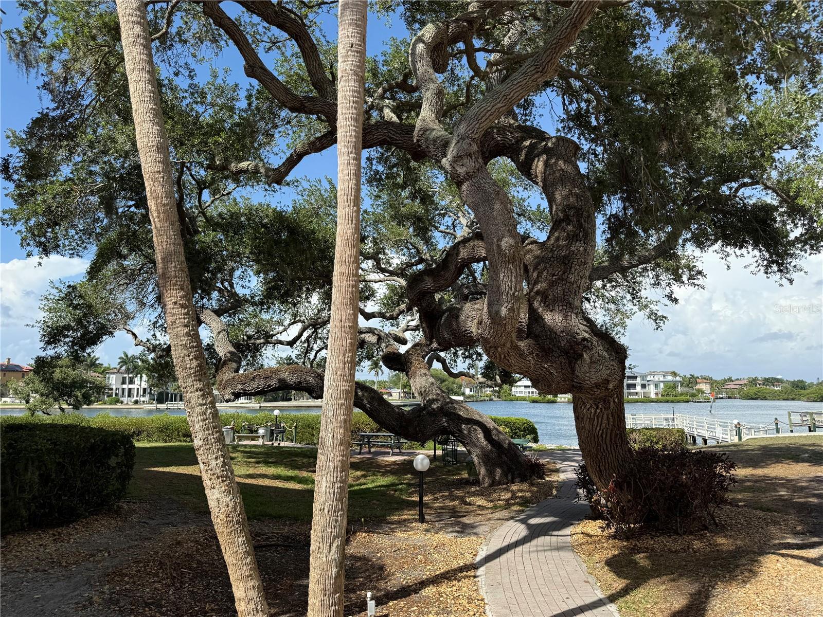 BAY OAKS - Residential