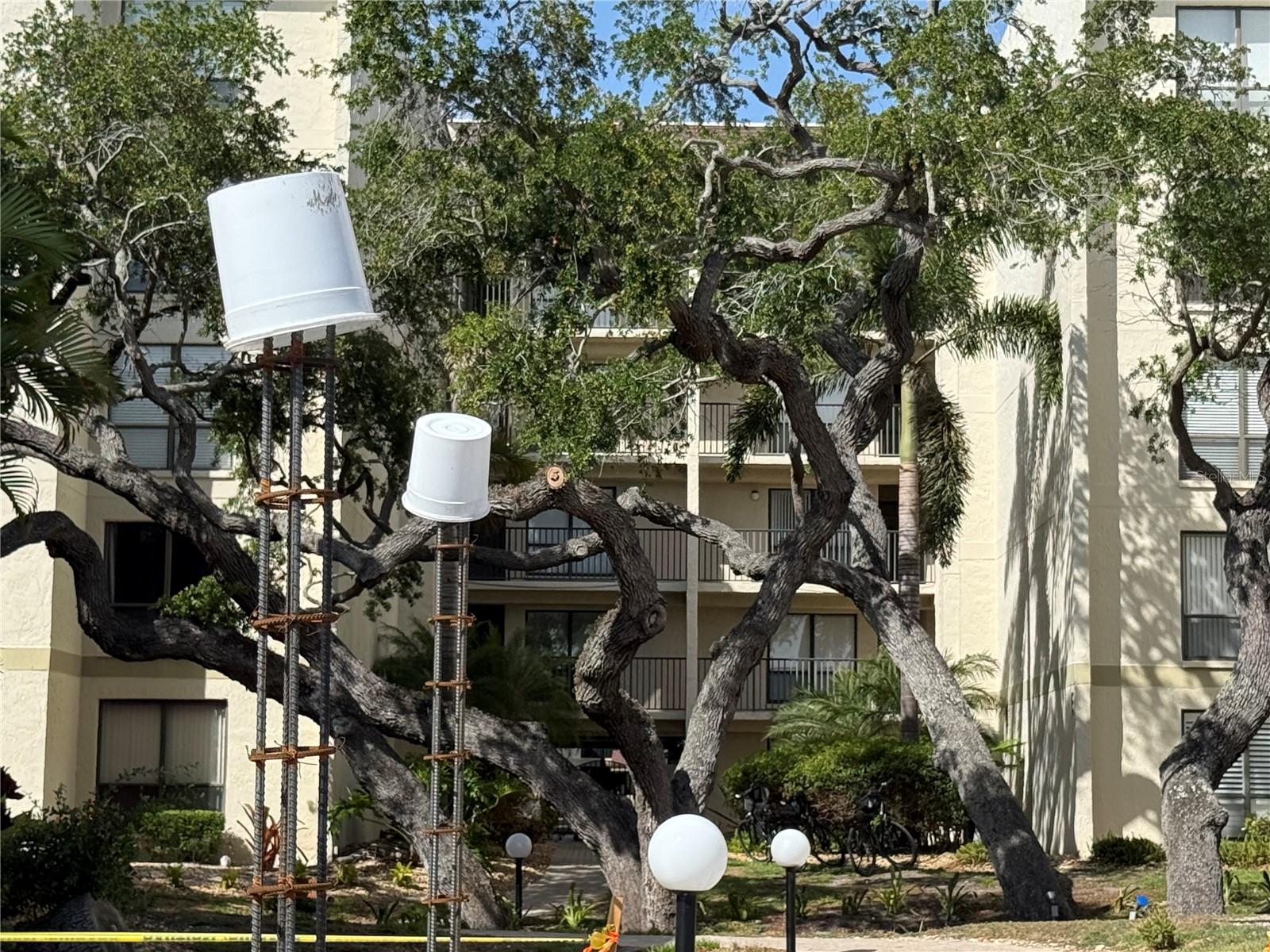 BAY OAKS - Residential