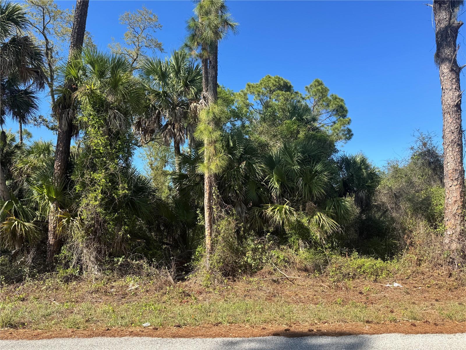 PORT CHARLOTTE SEC 016 - Land