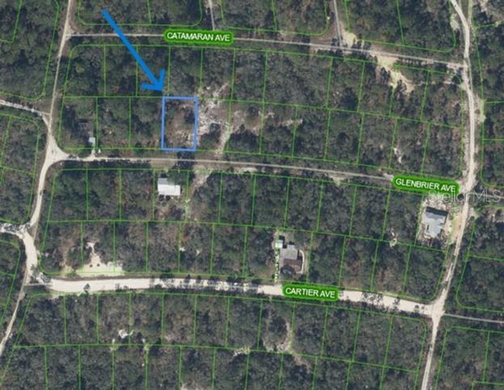 Photo of 314 Glenbrier Avenue, Lake Placid, FL 33852 (MLS # A4673029)