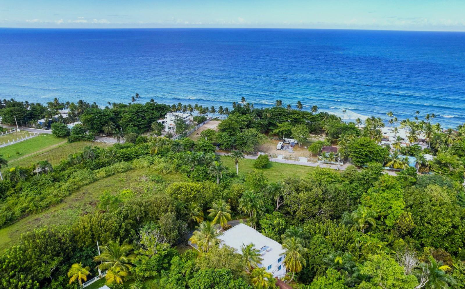 PUNTAS - Residential