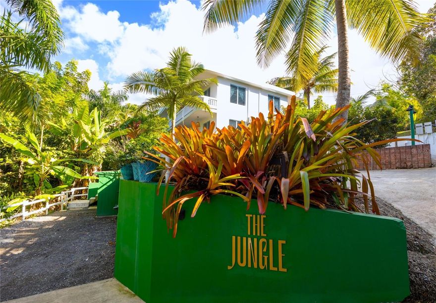 Welcome to The Jungle, a boutique guesthouse in the heart of Puntas, Rincón.

Nestled among lush tropical greenery and just a three-minute walk from the iconic Sandy Beach, this five-unit property invites guests to slow down, reconnect with nature, and experience the relaxed yet sophisticated spirit that defines Rincón. The Jungle blends tropical-chic design with contemporary Caribbean style, offering a balance of comfort, functionality, and serene island ambiance. Polished terracotta-style floors, natural textures like rattan, wicker, and wood, and soft, neutral textiles create a refined yet earthy aesthetic. Louvered windows and expansive terraces connect each unit with the surrounding vegetation, filling interiors with natural light and tropical breezes.

Unit #1 offers two bedrooms, one bathroom, a fully equipped kitchen, and a private balcony.
Unit #2 provides two bedrooms, one bathroom, a fully equipped kitchen, and a private balcony.
Unit #3 features two bedrooms, one bathroom, a fully equipped kitchen, and a private balcony.
Unit #4 includes offers two bedrooms, one bathroom, a fully equipped kitchen, and a private balcony.
Unit #5 is a studio featuring one bathroom, a large kitchen, and a private outdoor area.

Units 1–4 1all feature balconies overlooking the lush jungle, seamlessly merging interior and exterior living. Outdoor spaces, including a 15’ x 30’ pool, multiple terraces, shaded lounge areas, and a gazebo with a large dining table, are designed for relaxation, social gatherings, and connecting with the tropical surroundings.

Kitchens are modern and functional, with granite countertops, stainless-steel appliances, and minimalist cabinetry. Bathrooms feature clean lines, neutral palettes, artistic tile accents, and statement lighting. Throughout the property, terracotta-style floors add warmth, while louvered windows invite sunlight and the gentle tropical breeze. Each unit has been uniquely decorated, with natural materials, hanging basket lights, woven mirrors, and curated details that reinforce the sense of place. The overall aesthetic evokes tropical modernism — a balance of nature, simplicity, and refined island comfort.


Outdoor living is at the heart of The Jungle. Tropical gardens, intimate lounge areas, and shaded terraces flow naturally toward the pool, creating a serene sanctuary. Guests can enjoy jungle privacy while being steps away from surfing, dining, boutique shops, and the vibrant coastal culture of Rincón.

The property is impeccably maintained and fully operational — ready for immediate management, whether as a thriving short-term rental business or as long-term accommodations. The property qualifies for Act 60 incentives, making it an attractive option for those looking to operate a guesthouse in Puerto Rico’s growing tourism scene. This property presents an exceptional investment opportunity with remarkable potential.

Every detail at The Jungle has been thoughtfully curated to create a seamless connection with the tropical surroundings. It’s not just a property — it’s a rhythm, a feeling, and a lifestyle: jungle privacy, beach living, and the essence of Rincón’s relaxed yet sophisticated spirit.