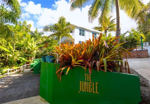 Carr. 413 Int.  Km 4 THE JUNGLE RINCON  00677