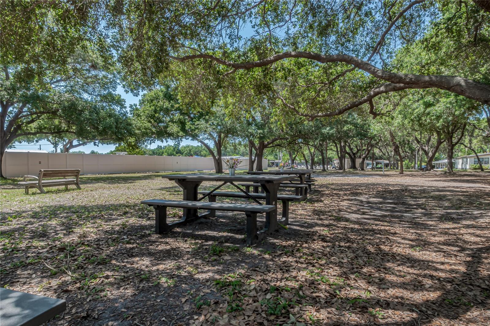 TERRA SIESTA MOBILE HOME PARK CO-OP - Residential