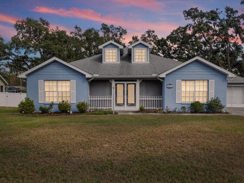 Photo of 8431 Braganza Street, Spring Hill, FL 34608 (MLS # W7881383)