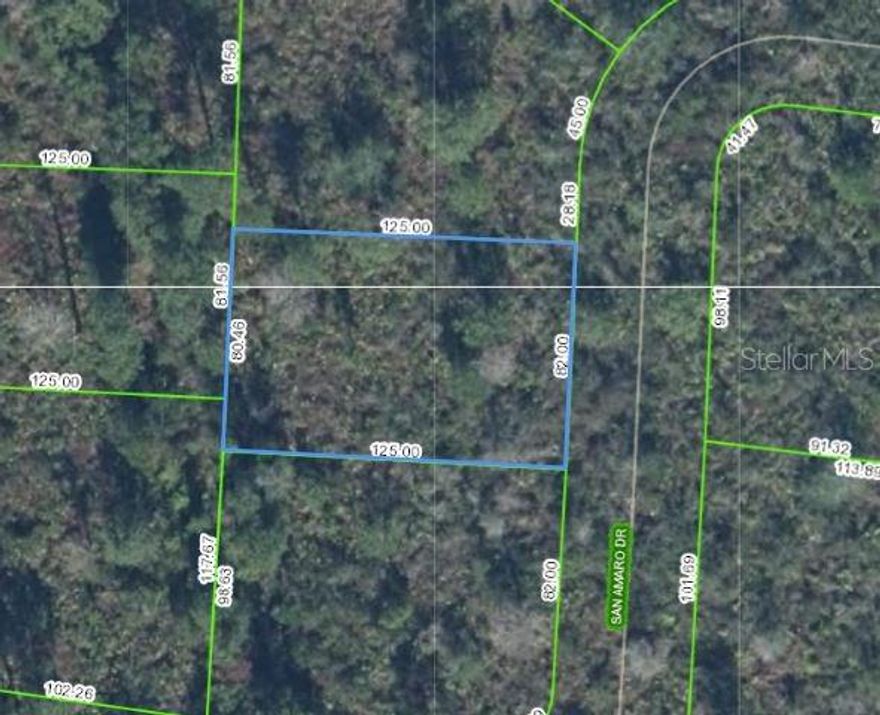 Wooden, vacant lot in the community of Sun N Lakes in Sebring, Florida. The closest road is paved, but there's no road to the property at this time. If you're looking for a secluded property where you can build your home or want to grow your portfolio, check this one out! Highlands County is centrally located to either coast and most major cities within 2-3 hours. The 12 hours of Sebring races, various sporting events on Lake Jackson, the circle in downtown Sebring, and many lakes to relax and fish are just some of the things that you could be enjoying when you make your move to this area. There are specialty shops, restaurants, golf courses nearby (fee may apply), stores, pharmacies, and 2 hospitals in the area, plus so much more. Don't delay!