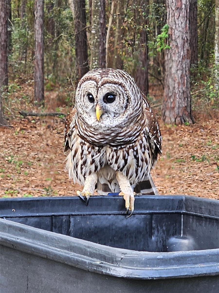 BEVERLY HILLS UNIT 07 - Residential