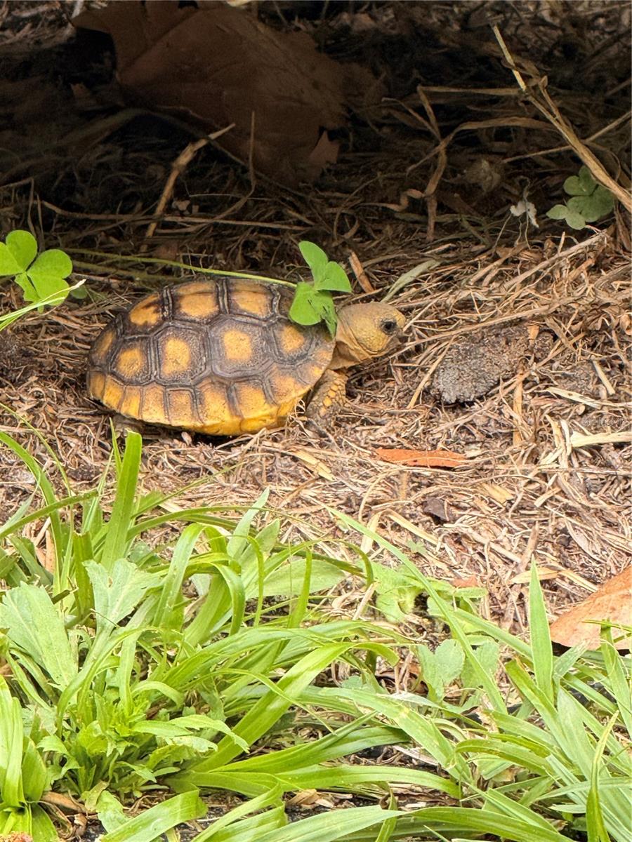 BEVERLY HILLS UNIT 07 - Residential