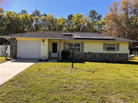 Photo of 1176 W Buttonbush Dr, Beverly Hills, FL 34465 (MLS # W7884053)