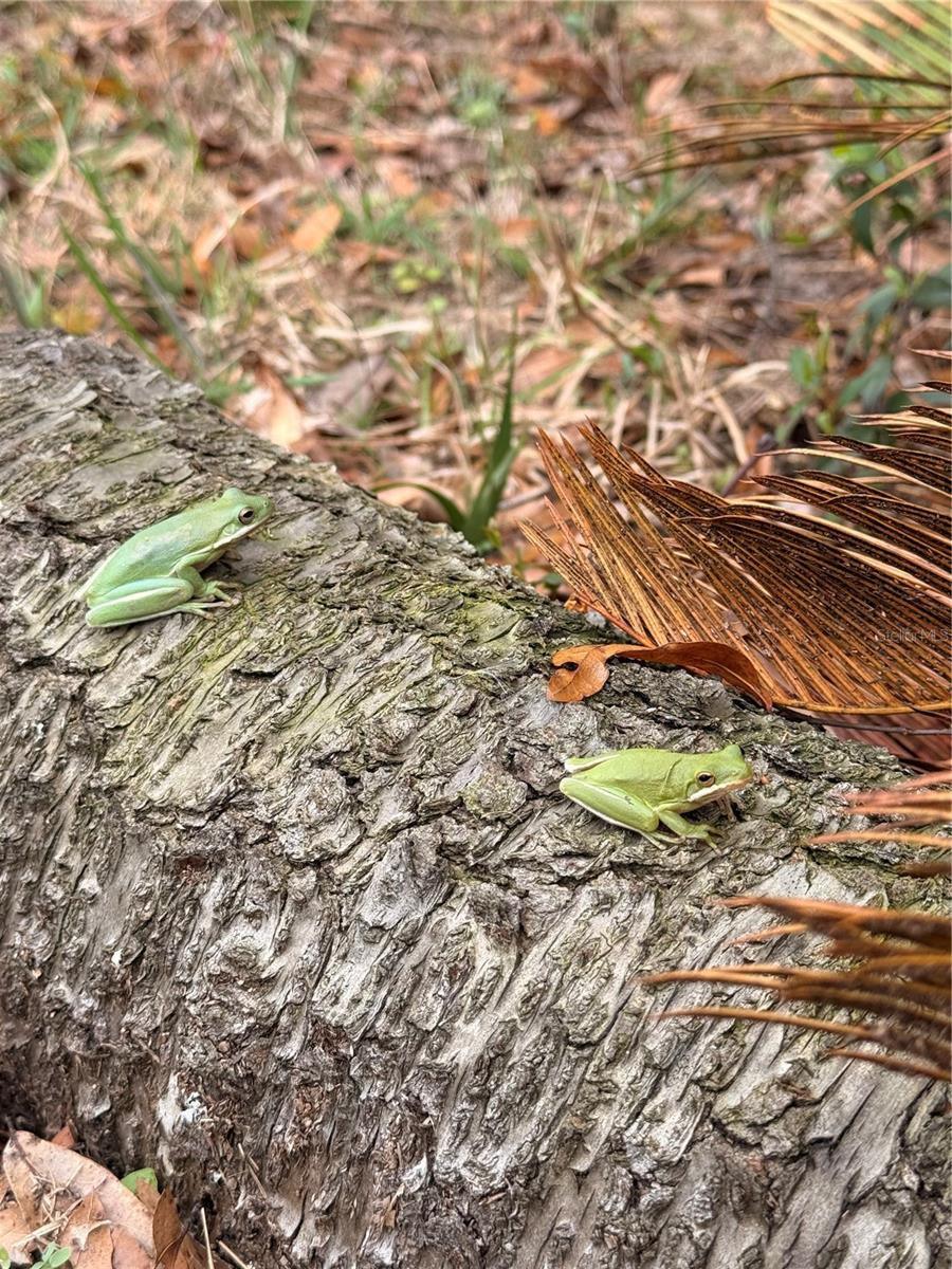 BEVERLY HILLS UNIT 07 - Residential