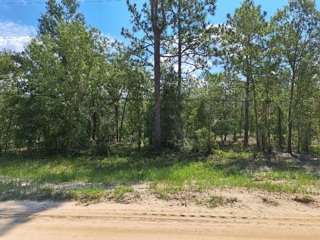 LINCOLN CITY HILLS - Land