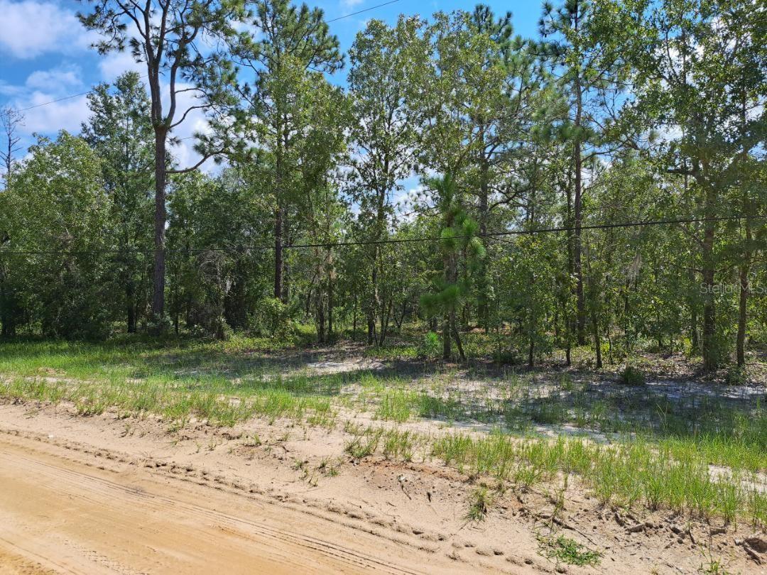 LINCOLN CITY HILLS - Land