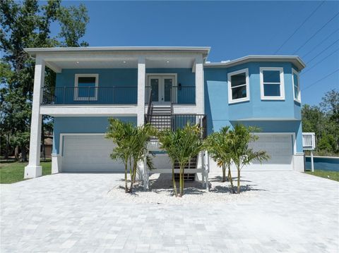 1033 HAMMOCK CIRCLE TARPON SPRINGS FL 34688