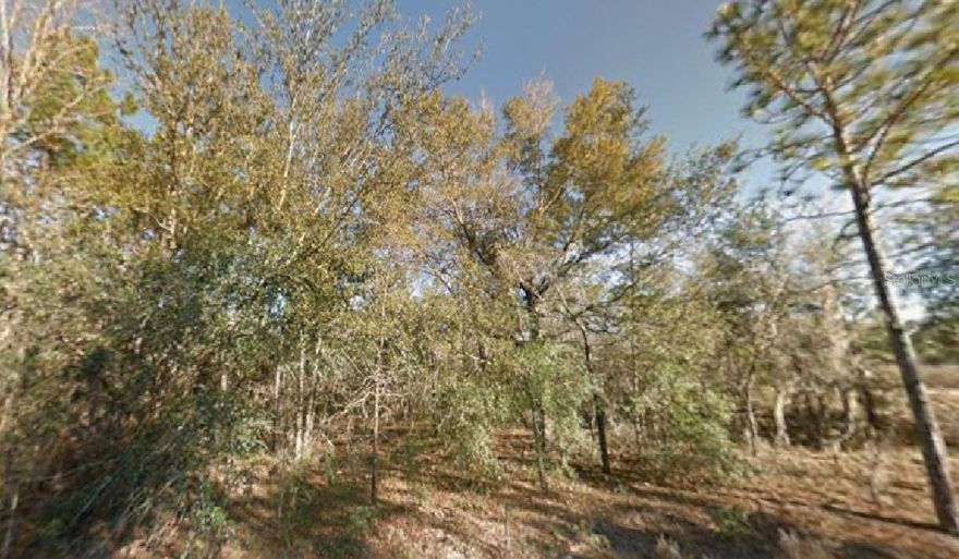 Great vacant lot to build your dream home!