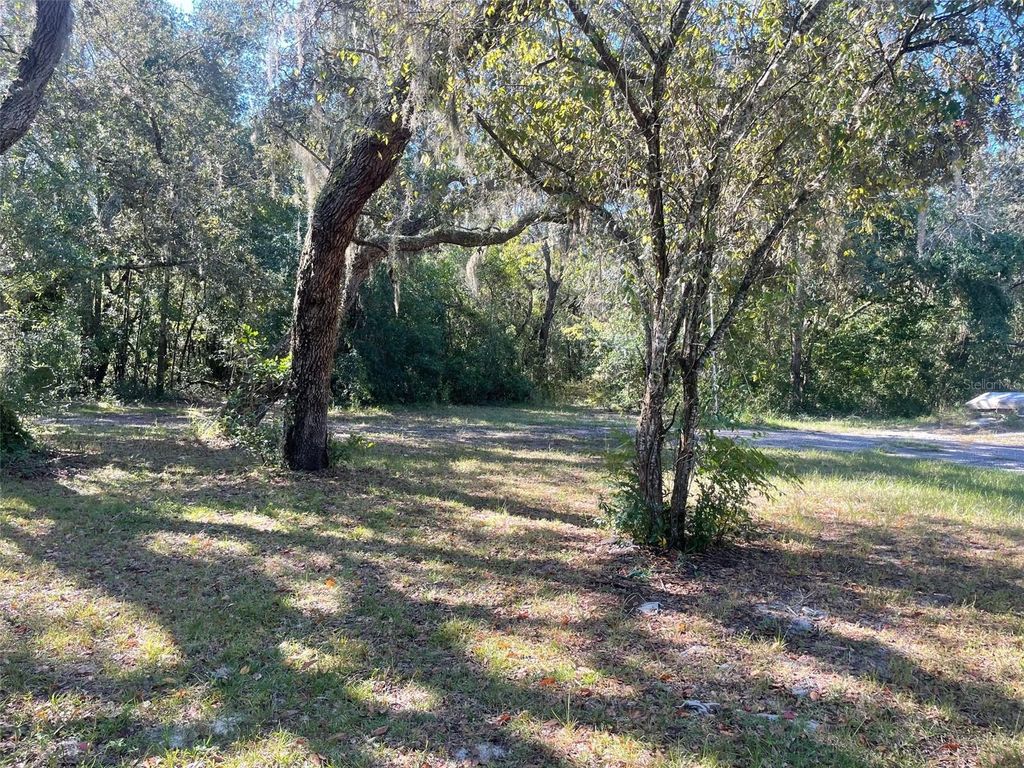 Photo of 11428 Tenoaks Drive, Hudson, FL 34669 (MLS # TB8440663)