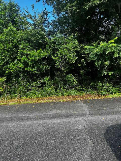 205 GRANDE VISTA STREET DEBARY FL 32713