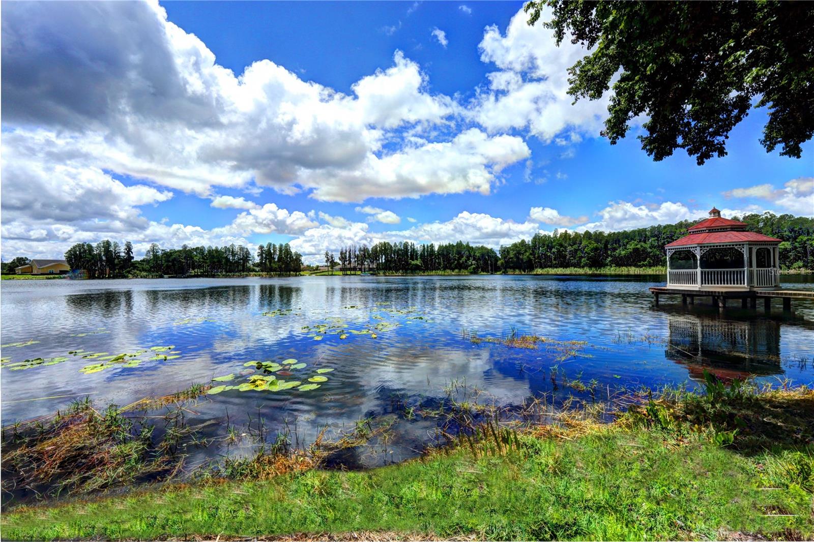 BELLAMERE - Residential