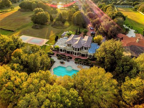 117 BELLAMERE PALMS COURT LUTZ FL 33549