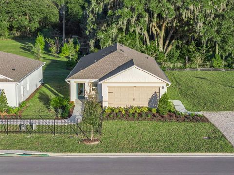 3417 NETTLE LOOP TAVARES FL 32778