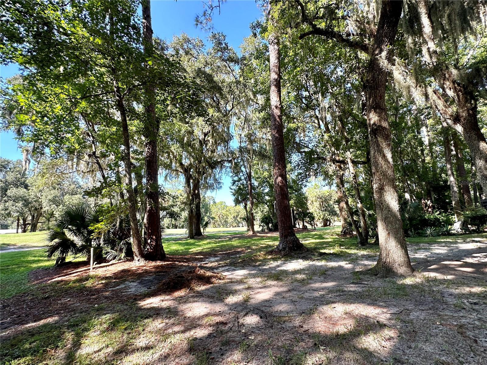 PALM COAST FAIRWAYS CONDO - Residential